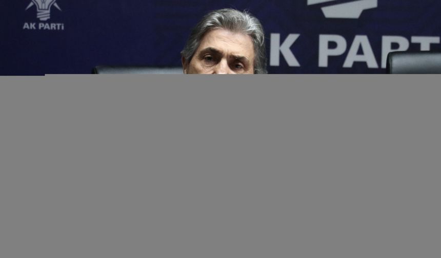 AK Parti'li Demir'den, terör örgütü PKK'nın fesih ve silah bırakma kararına ilişkin açıklama: