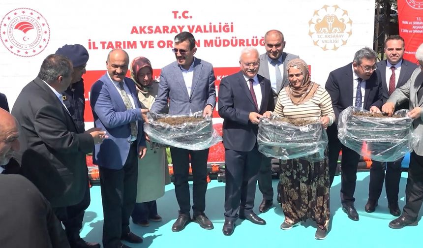 Aksaray'da çilek üreticilerine fide ve malzeme desteği verildi