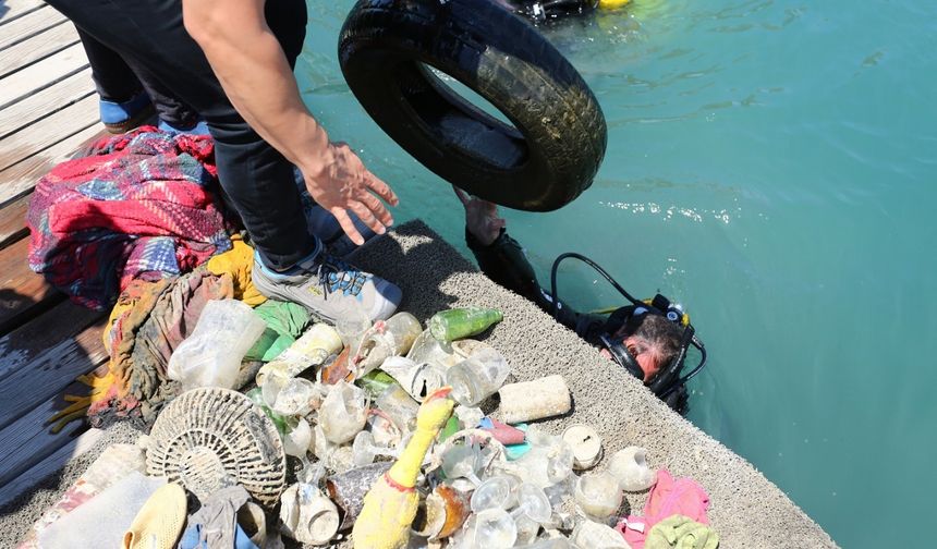 Deniz dibi temizliği sonrası denize 20 bin balık yavrusu bırakıldı