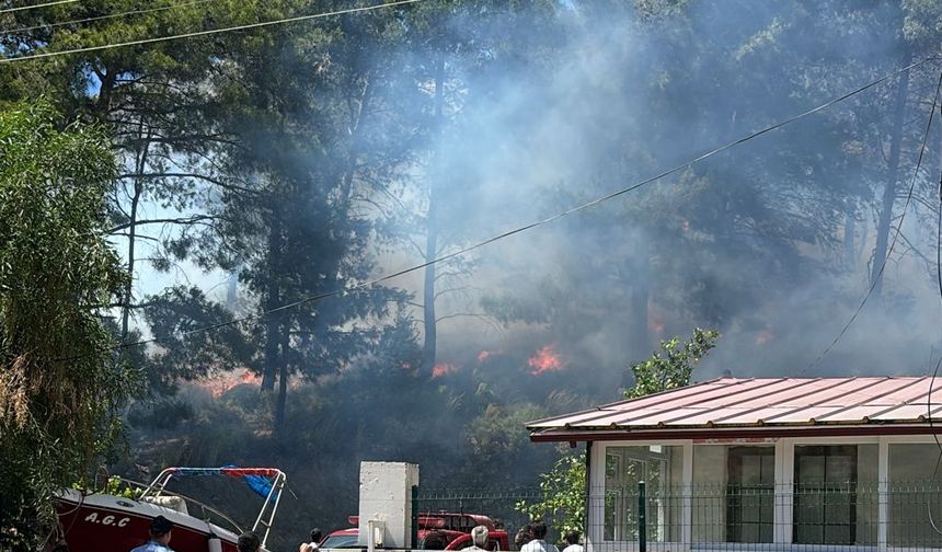 Marmaris'te çıkan orman yangını kontrol altına alındı