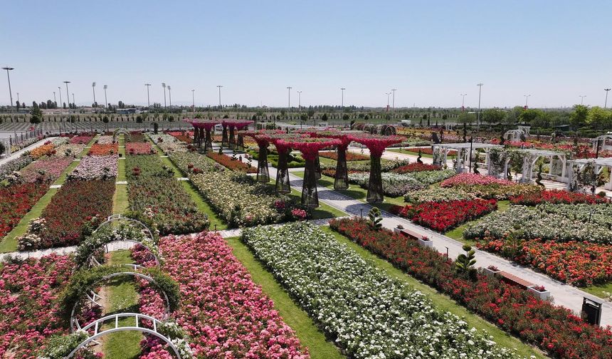 Konya'da 190 türün bulunduğu Karatay Mevlana Gül Parkı yeni sezonunu açtı