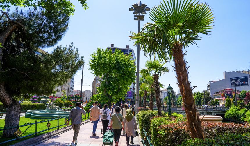 Köprübaşı Palmiyeler Ve  Zakkumlarla Süslendi