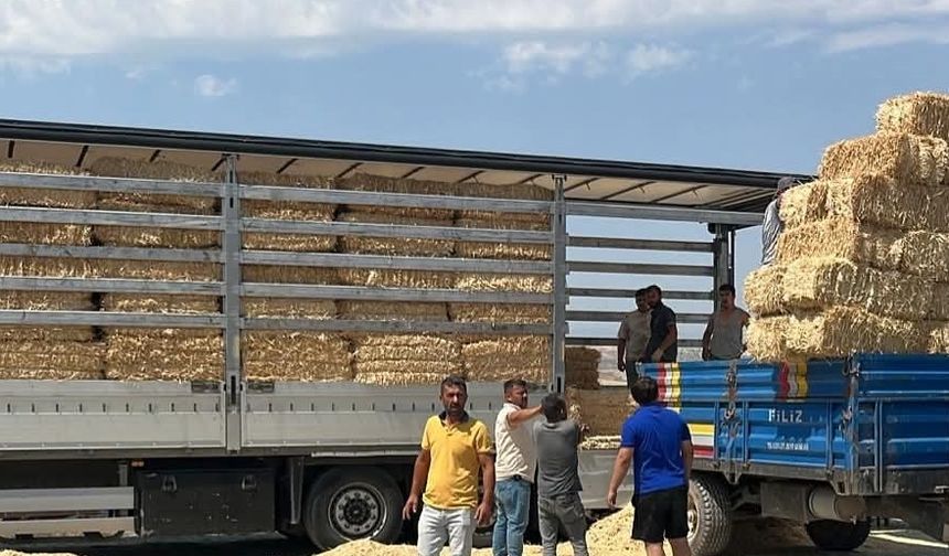 Çankırı'dan Karabük'teki yangından etkilenen çiftçilere yem desteği
