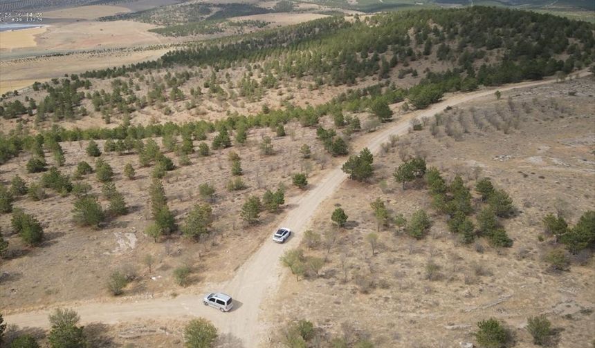 Kırşehir polisi "Kendine bir iyilik yap, ormanı koru" sloganıyla ormanlık alanlarda denetim yaptı