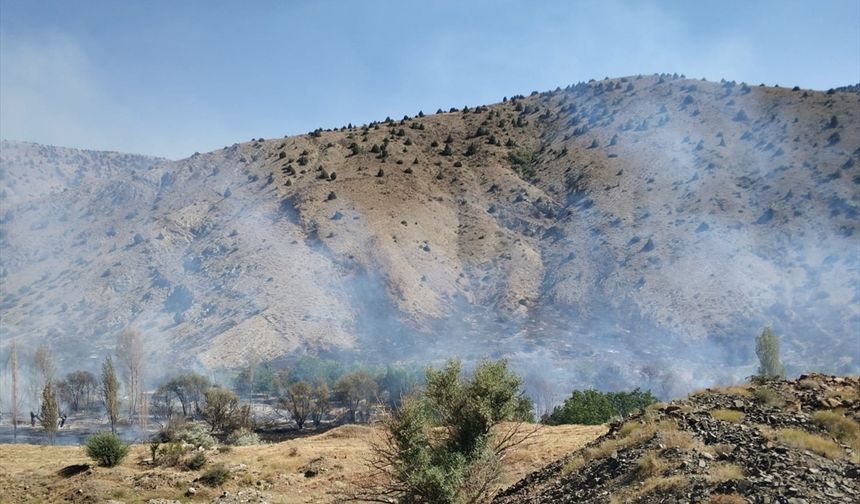 Niğde'de ağaçlık alanda çıkan yangın kontrol altına alındı