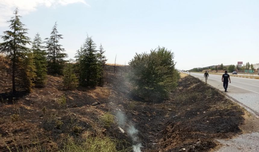 Sarayönü'nde çıkar yangında ağaçlar zarar gördü
