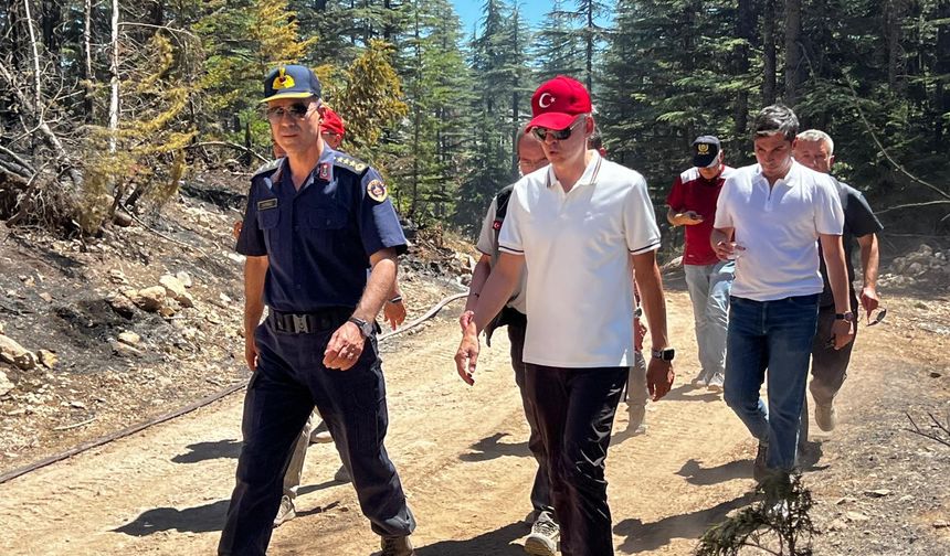 Karaman Valisi Çiçekli, iki ilçede söndürülen orman yangınlarının ardından incelemelerde bulundu