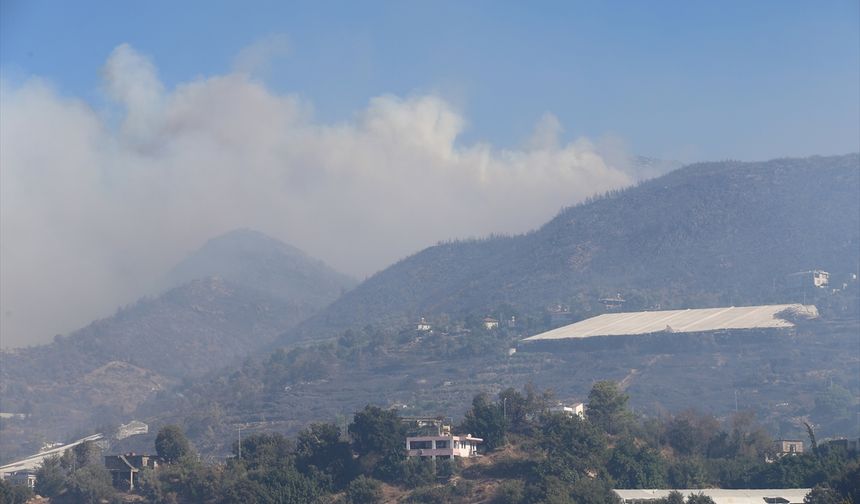 GÜNCELLEME 3 - Antalya'nın Alanya ilçesindeki orman yangınına müdahale sürüyor