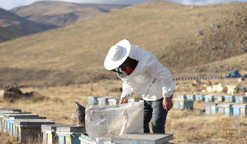 Dede mirası arıcılığı üçüncü kuşak temsilci olarak sürdürüyor