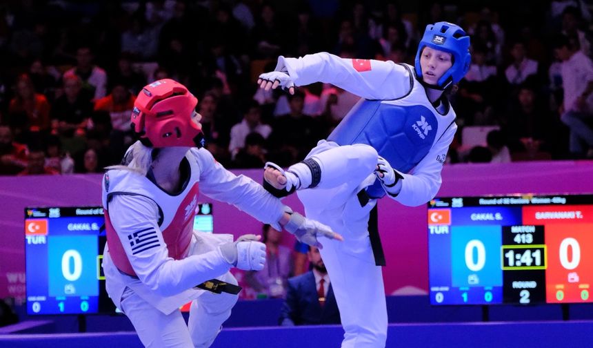 Dünya Tekvando Şampiyonası