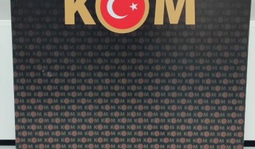 Niğde'de kaçakçılık operasyonlarında yakalanan 2 şüpheli tutuklandı