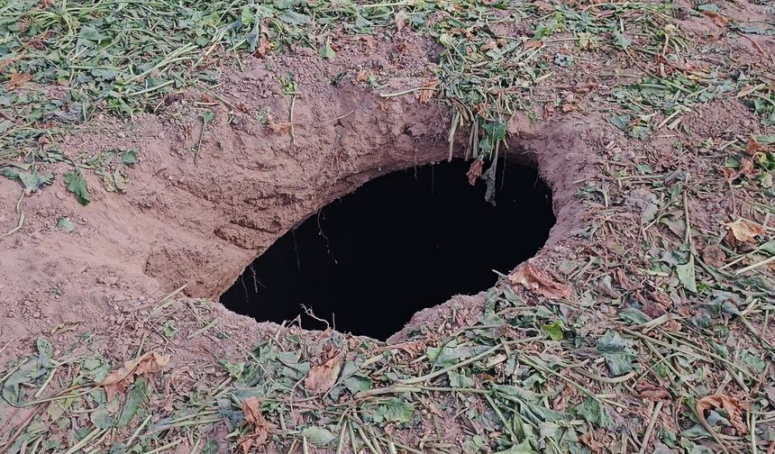 Aksaray'da pancar tarlasında yeni obruk oluştu