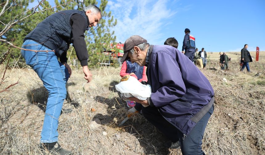 Ankara'nın ilçelerinde fidanlar toprakla buluştu