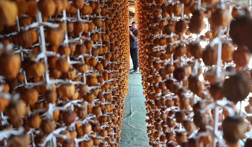 Girişimci iki komşunun kuruttuğu cennet hurması yurt içi ve dışında alıcı buluyor