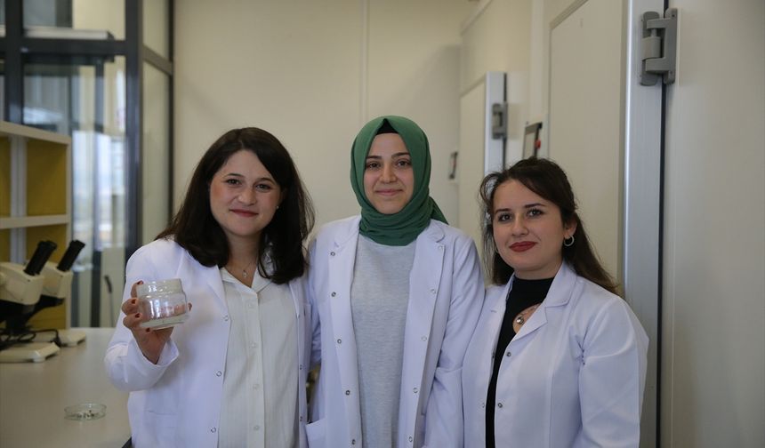 Niğde'de akademisyen doğal tohum kaplama malzemesi geliştirdi