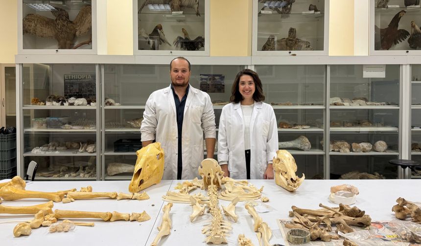 Türk antropologlar, Etiyopya'da ortak kazı çalışmaları yapacak