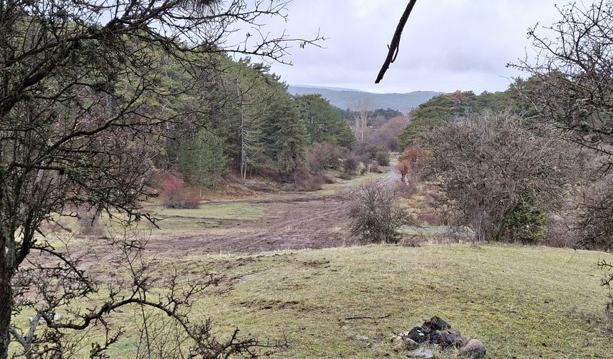 Karagöl Yaylası Kızak Şenliği için pist düzenlemesi yapıldı