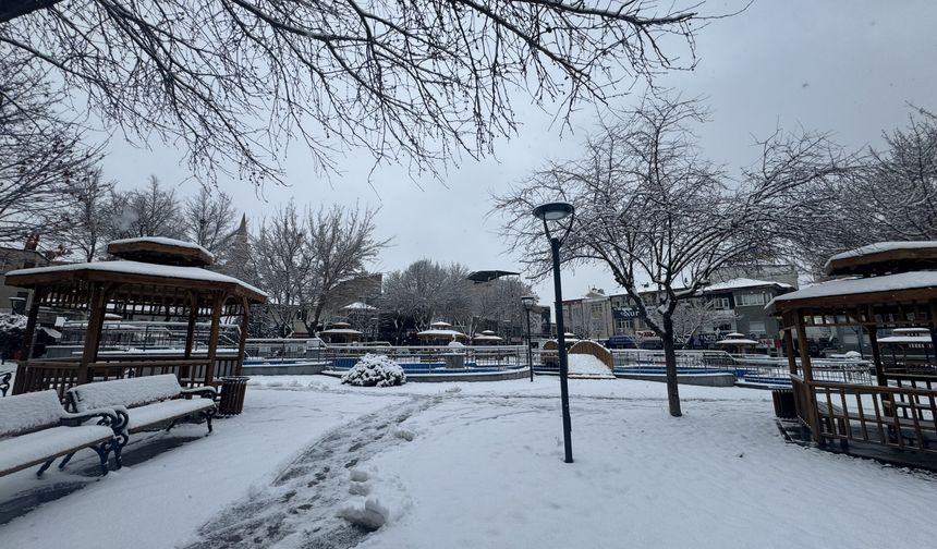 Karaman'da kar yağışı etkili oluyor