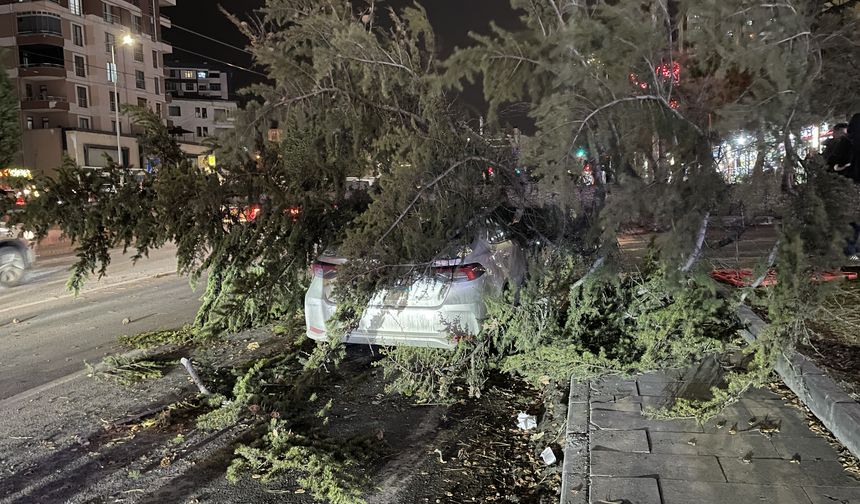 Kayseri'de kuvvetli rüzgarın etkisiyle devrilen ağaç otomobilin üzerine düştü