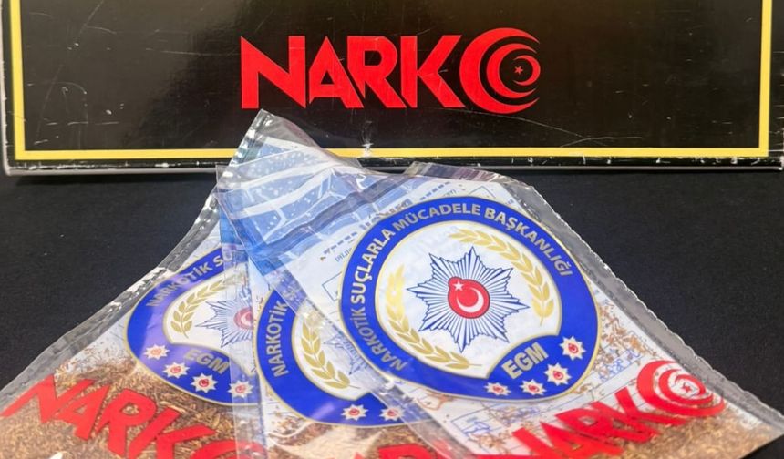 Kırşehir'de uyuşturucu operasyonlarında yakalanan 10 zanlıdan biri tutuklandı