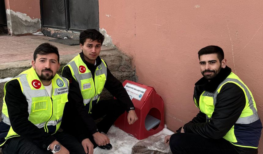 Suşehri Belediyesi yabani hayvanlar için doğaya yem bıraktı