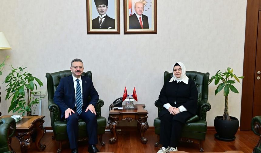 TBMM Milli Eğitim, Kültür, Gençlik ve Spor Komisyonu Başkanı Gürcan'dan Eskişehir Valisi Aksoy'a ziyaret