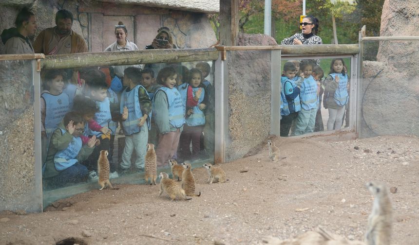 Hayvan refahını en üst seviyeye taşıyacak tesis tamamlanıyor