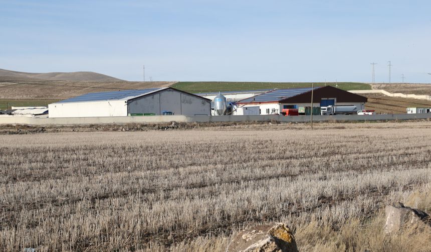 Devlet desteğiyle kurduğu işletmesinde günlük 1,5 ton süt elde ediyor