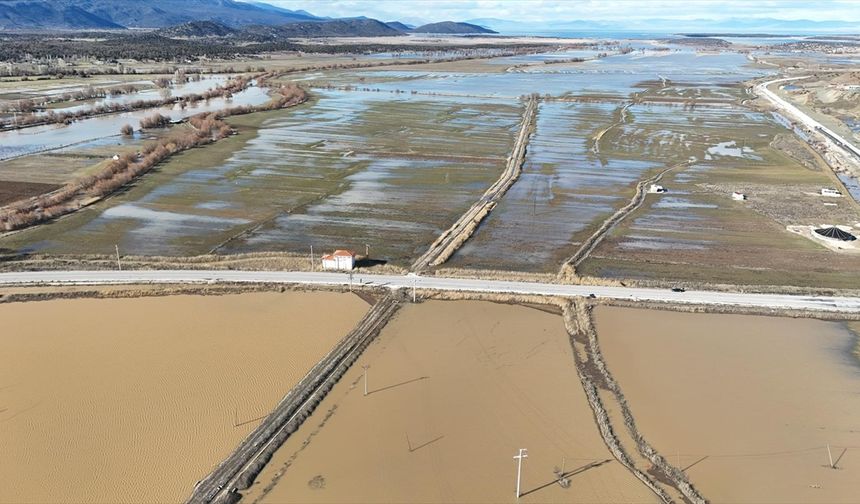 Konya'da yağış ekili alanlara zarar verdi
