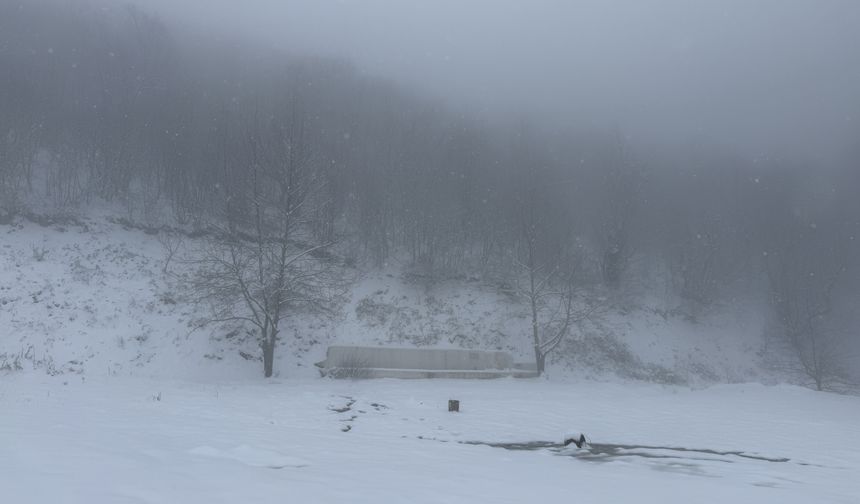 Tekirdağ'da yüksek kesimlerde sis etkili oldu