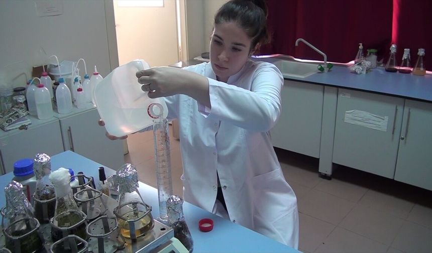 ÇOMÜ'lü akademisyenler çay özü ve bor mineraliyle dezenfektan formülü geliştirdi