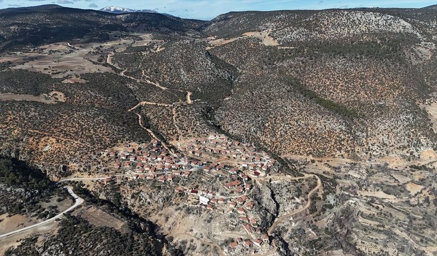 Karaman'da 1931 yaşındaki anıt ağaç asırlara meydan okuyor