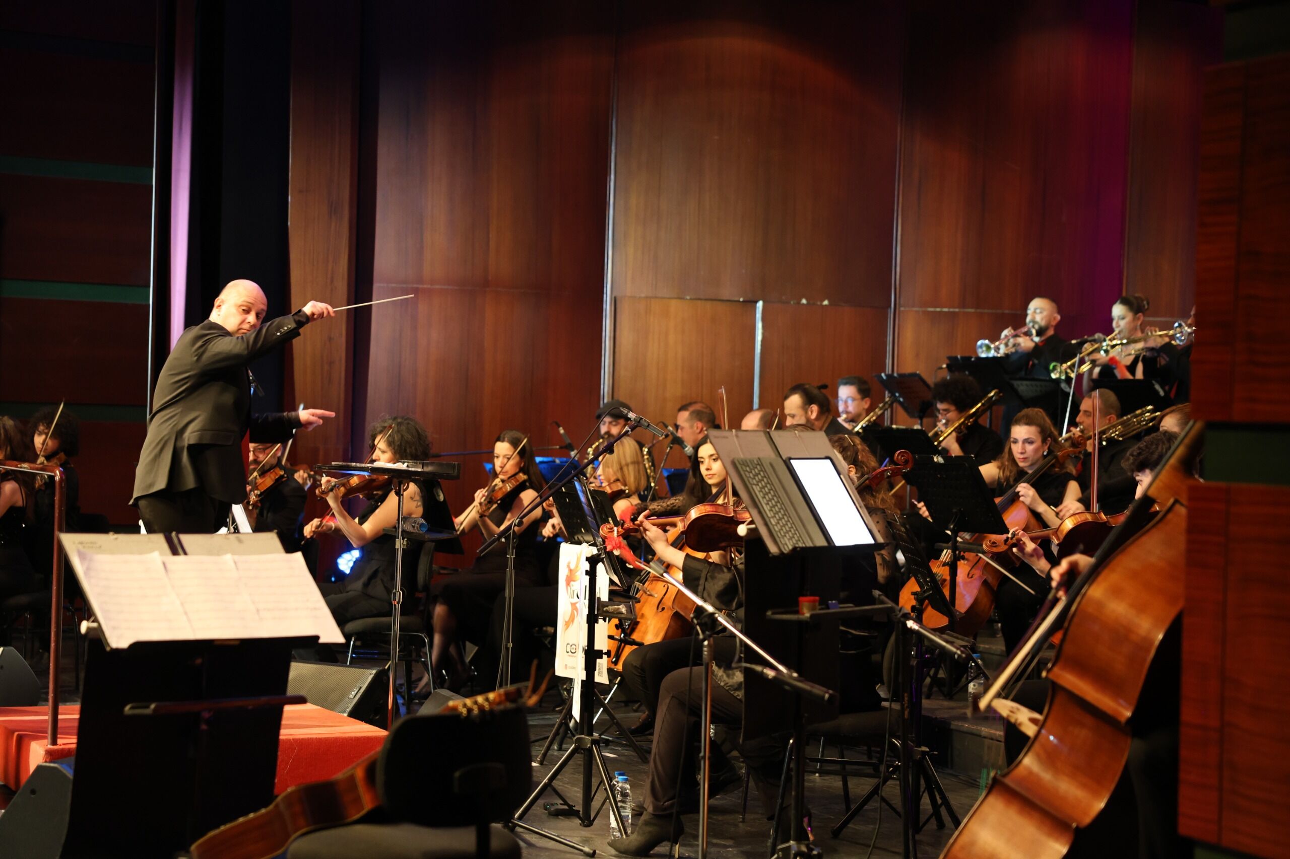 Fırebırd Orchestra konseri 