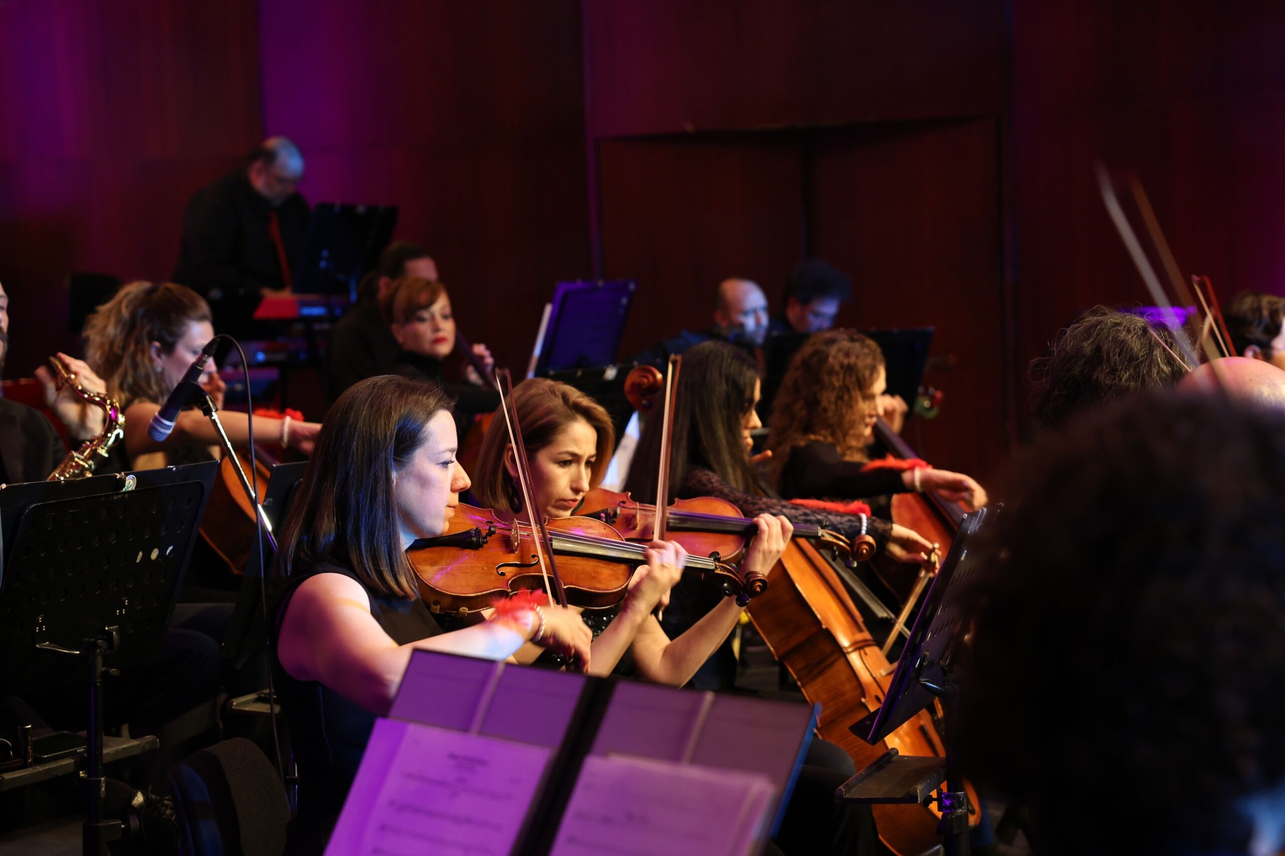 Fırebırd Orchestra konseri 